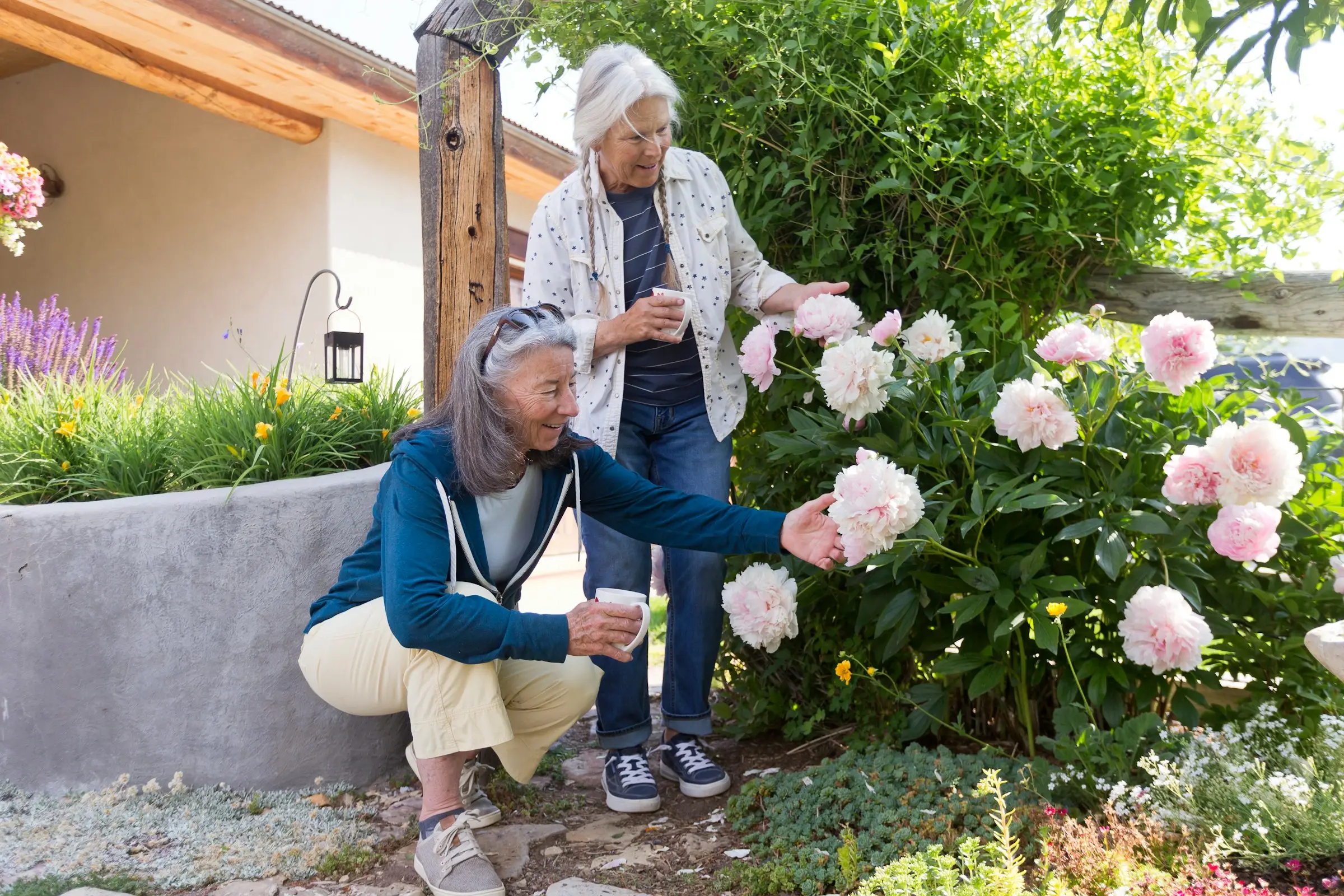Senior living community courtyard, Texas Hill Country