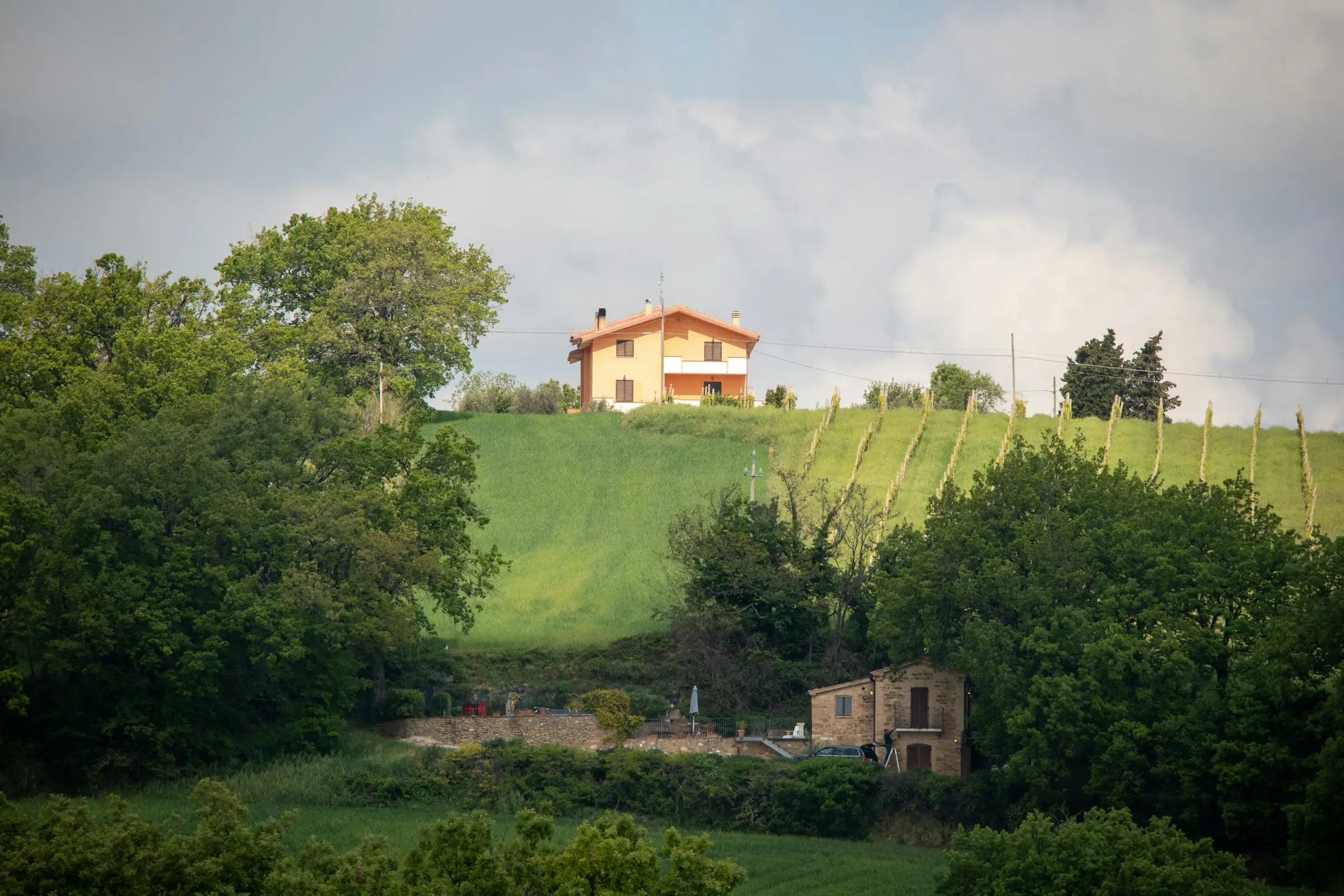 Hill Country homesites beside the vineyard